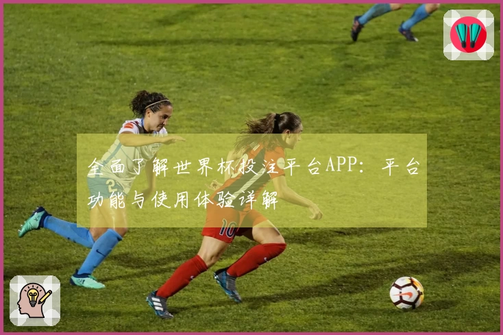 全面了解世界杯投注平台APP：平台功能与使用体验详解
