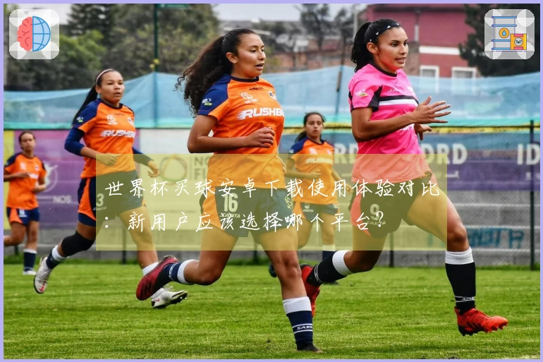 世界杯买球安卓下载使用体验对比：新用户应该选择哪个平台？